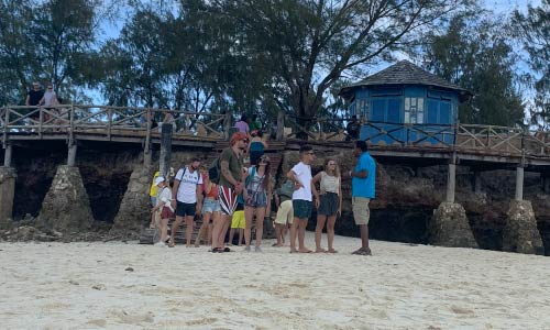 Dolphin Safari and Snorkeling Tour Zanzibar