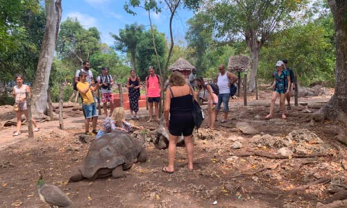 Prison Island & Nakupenda Sandbank Tour