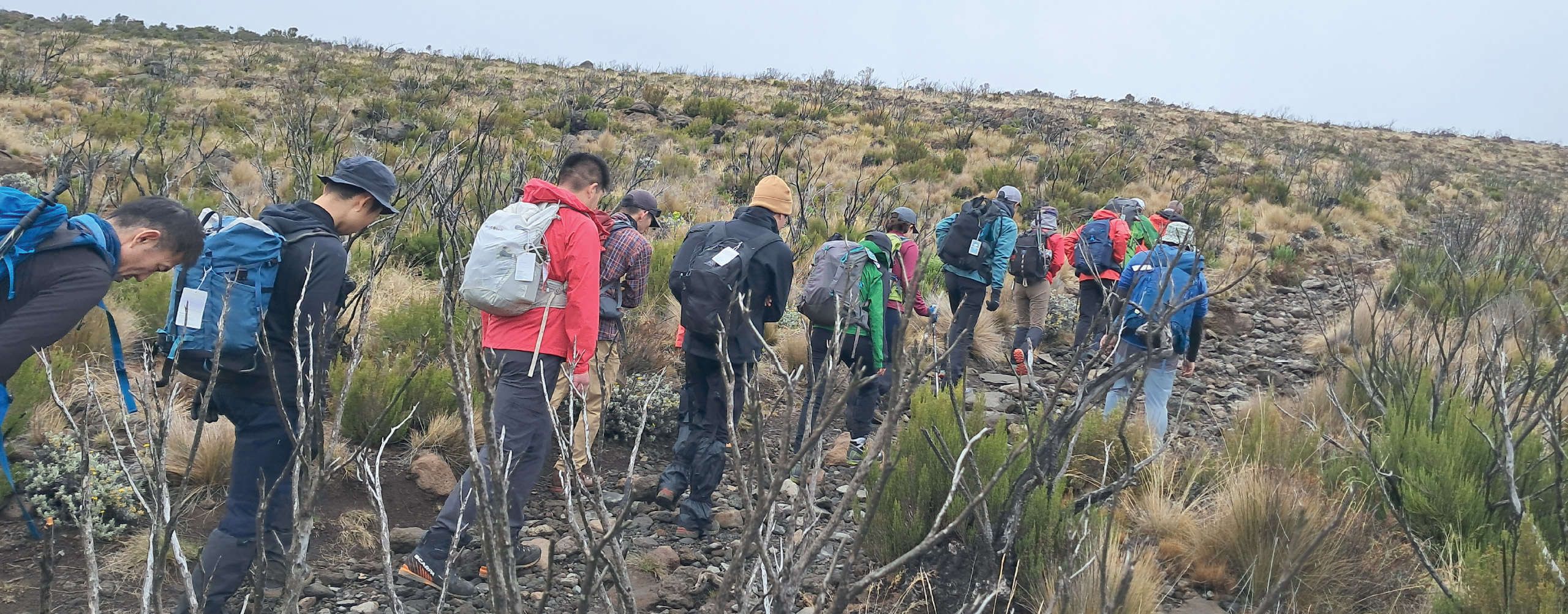 Group of hikers trekking uphill on a rocky mountain trail during a guided trekking adventure in Tanzania