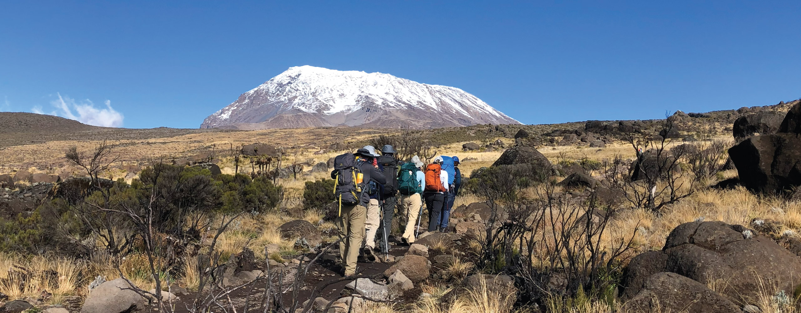 Hikers with backpacks trekking through grassy terrain toward the snow-capped peak of Mount Kilimanjaro.