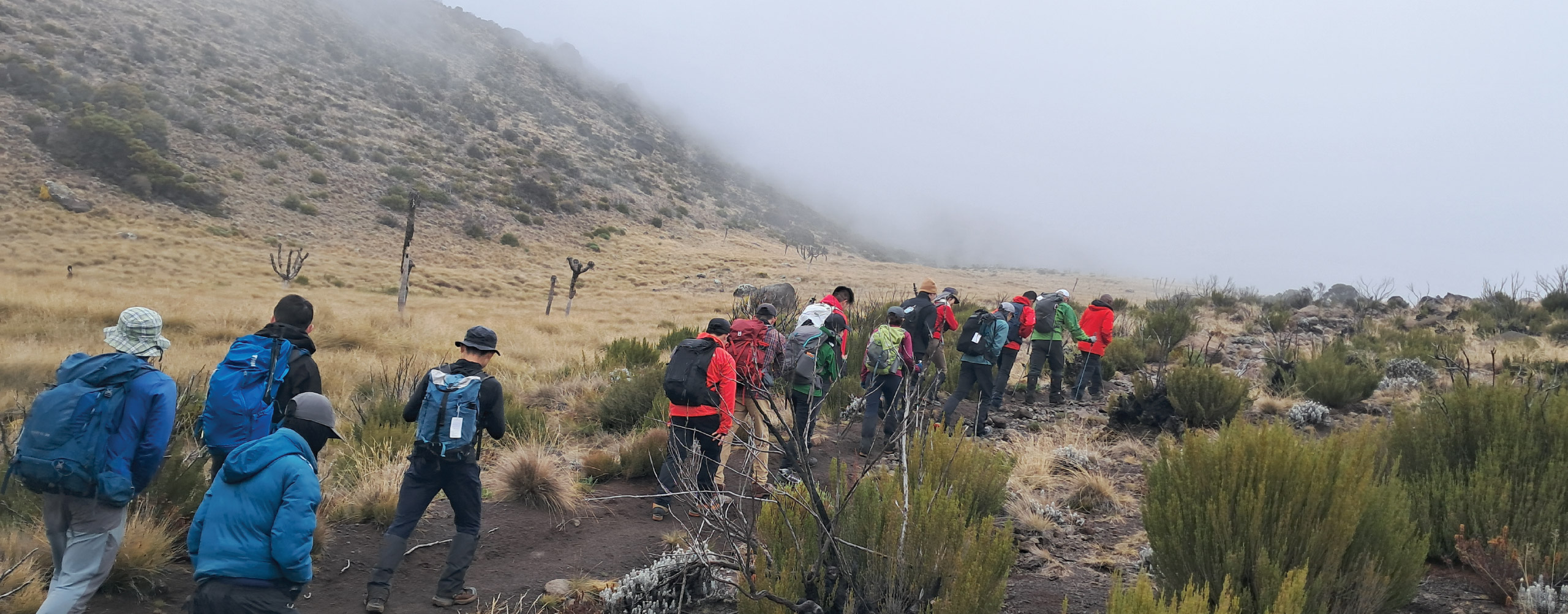 Group of hikers trekking through misty mountain terrain with dry grass and scattered shrubs
