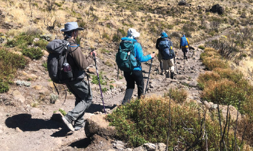 Trailblazers in the Wild: A Journey Through Rugged Terrain